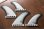 画像3: La Especial "JEFF MCCALLUM QUAD" Single Tab　クアッド　5.17 (3)