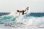 画像7: 【NEW!】 FCSII CHANNEL ISLANDS　PC　TRI/ （L) / White (7)