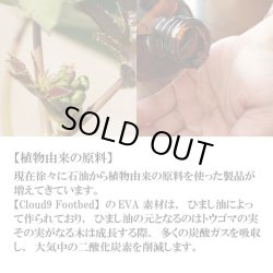 画像11: FREE WATERS / Cloud9 Slide　カラー：Black