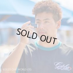 画像5: 【NEW!!】 VERTRA フェイススティック 【SPF50+】 PEARL WHITE