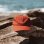 画像1: NEW!! Red Shores Sun Cap (1)