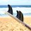画像8:  FCSII  Mick Fanning Glass Fibre Fusion Tri  Size"M" /smoke/white (8)