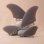 画像1: NEW!! DEFLOW/FISH QUAD  (1)