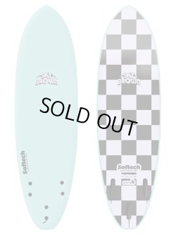 画像5: 激安価格 & 送料無料!  "Softech - 5'6" Sky Brown Model" 新品未使用