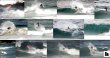 画像4: 【新古】 Hammo/Pro PU/HD＋ボトムカーボン 5'10"激安!!!