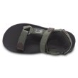 画像2: FREE WATERS / Cloud9 Sport MNS　カラー：OLIVE