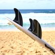 画像8:  FCSII  Mick Fanning Glass Fibre Fusion Tri  Size"M" /smoke/white